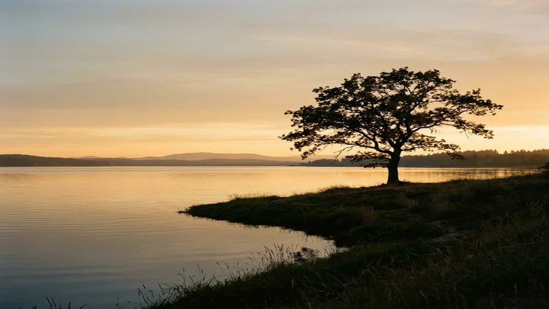 ¿Cuánto Cuesta un Seguro de Decesos en 2026? Precios y Coberturas